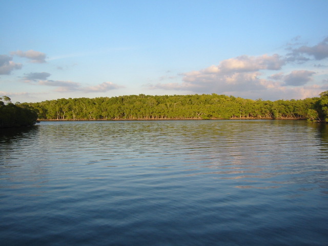 Looking NW from Oyster Bay Chickee