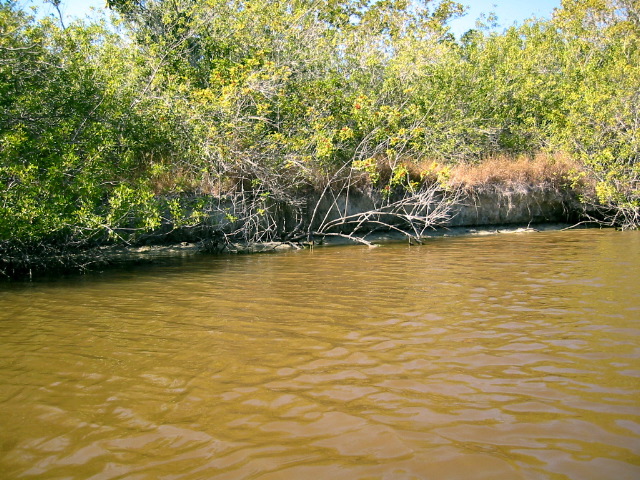 Flamingo Canal