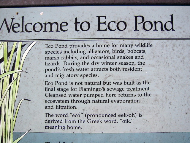 Welcome Eco Pond