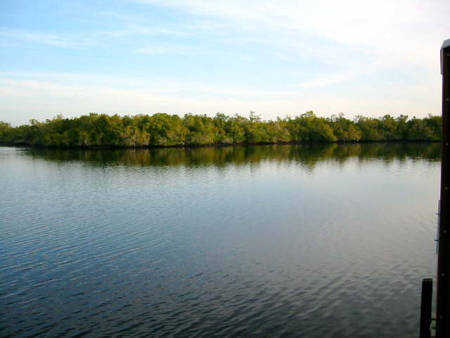 View from Lostman Five Campsite