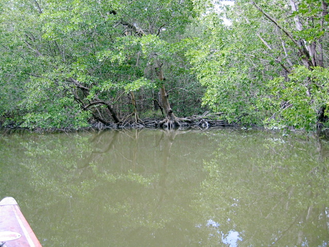 Broad Creek Nightmare route.