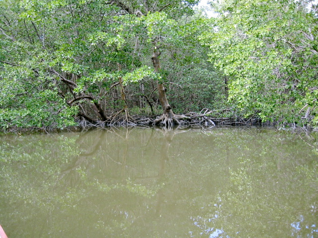 Broad Creek Nightmare route.