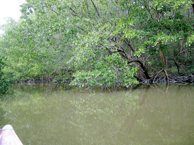 Broad Creek Nightmare route.