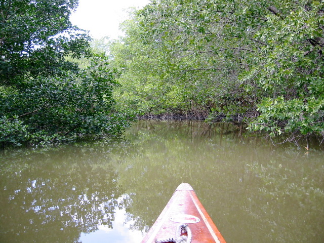 Broad Creek Nightmare route.