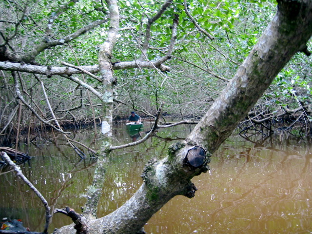 Ducking hard to avoid a low branches.