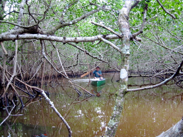 Jim paddling hard to twist through the Nightmare.