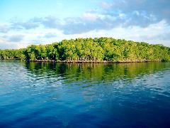 Looking West from Oyster Bay Chickee