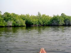 Last Houston Bay River