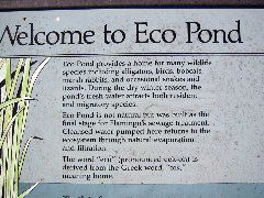 Welcome Eco Pond