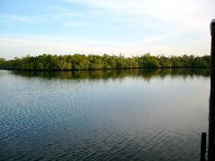 View from Lostman Five Campsite