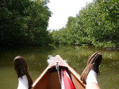 Resting in an open area - Broad Creek - Nightmare.