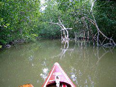 Broad Creek - Nightmare route